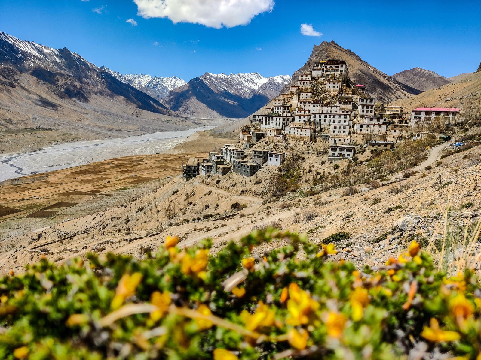 Manali Tour